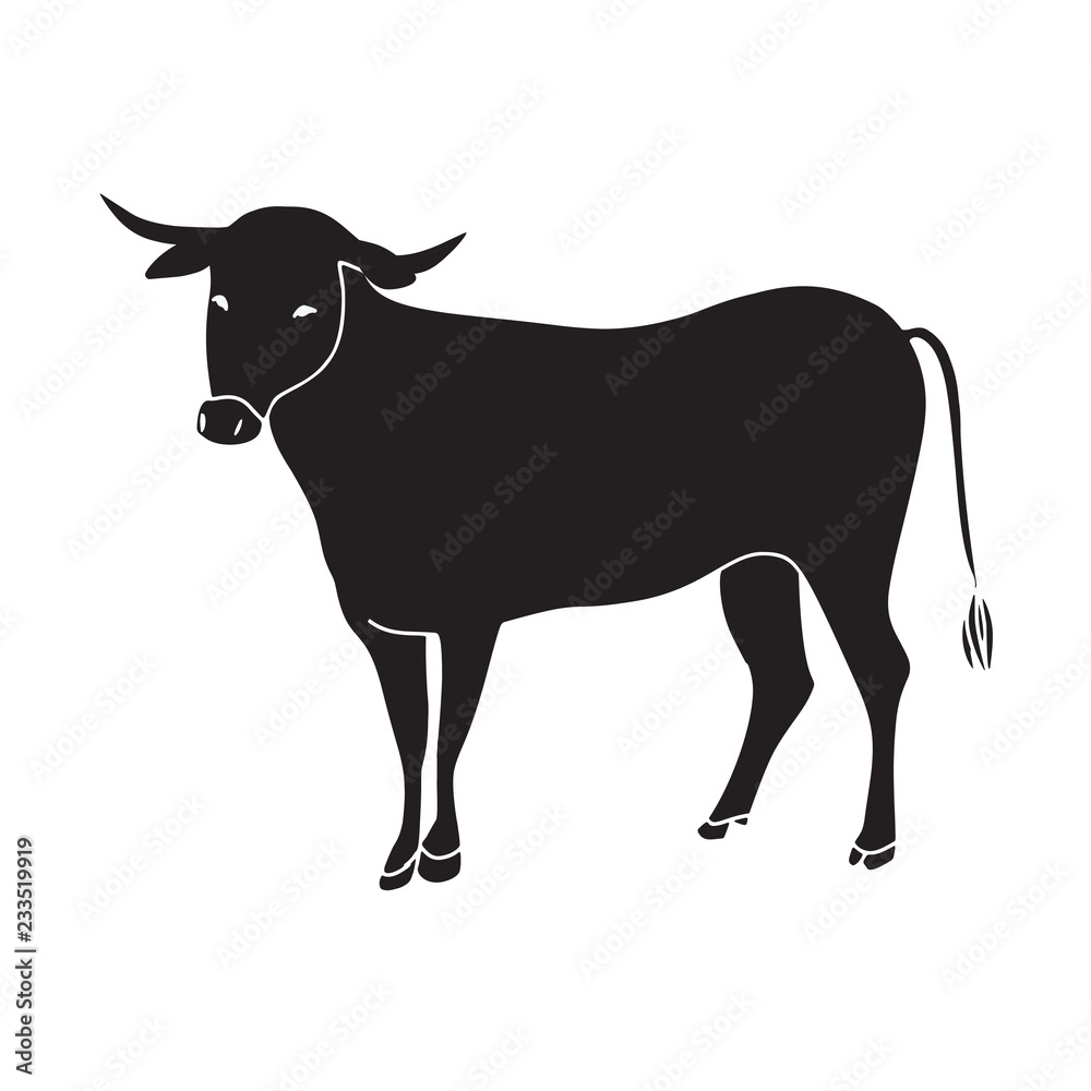 black bull vector illustration