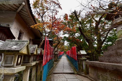 奈良と大阪の寺と神社の紅葉