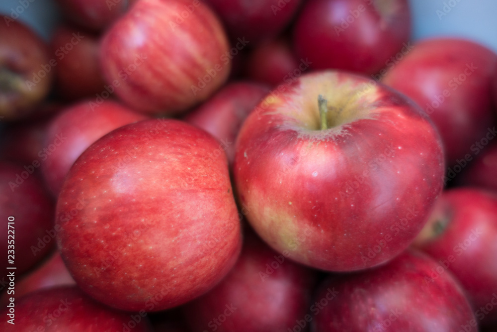 Pair of ripe red apples (Jonathan cultivar) Pair of ripe red apples (Jonathan cultivar)