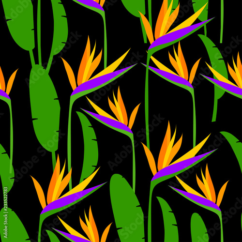 Seamless tropical pattern with strelitzia. Vector illustration