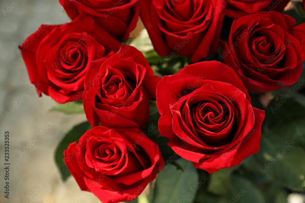 Bouquet of beautiful roses, closeup Bouquet of beautiful roses, closeup