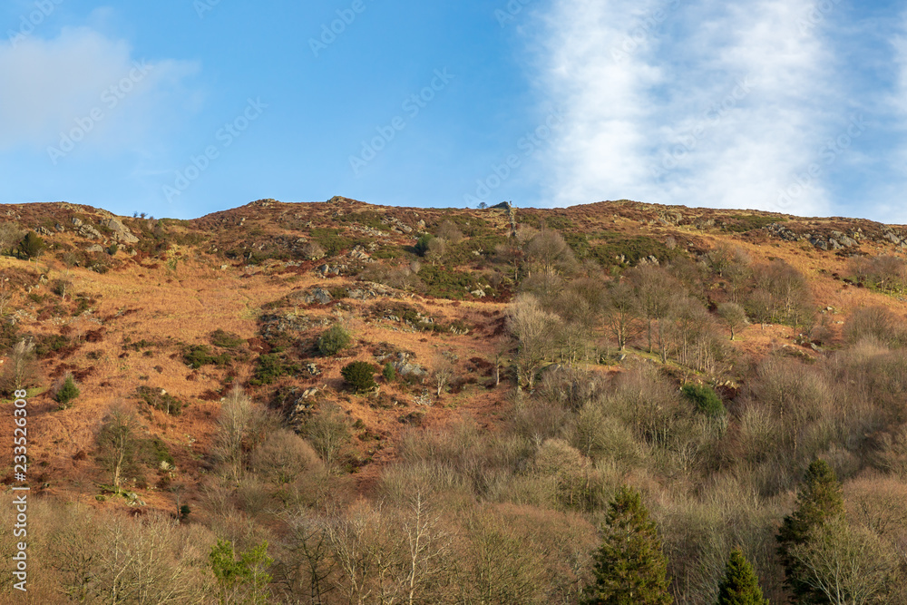 Looking up at a Lake District hillside, in winter