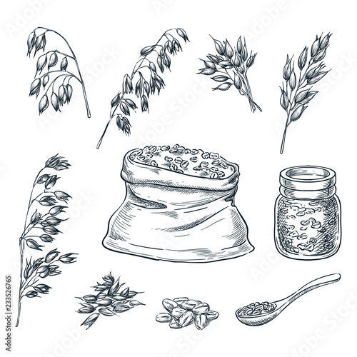 Oats cereal ears, grain in sack and porridge in glass jar. Vector sketch illustration. Hand drawn design elements