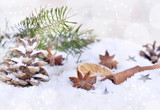 anise star and cinnamon on snow and in christmas and winter decoration