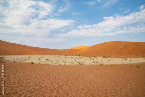 Deadvlei area in Namib desert