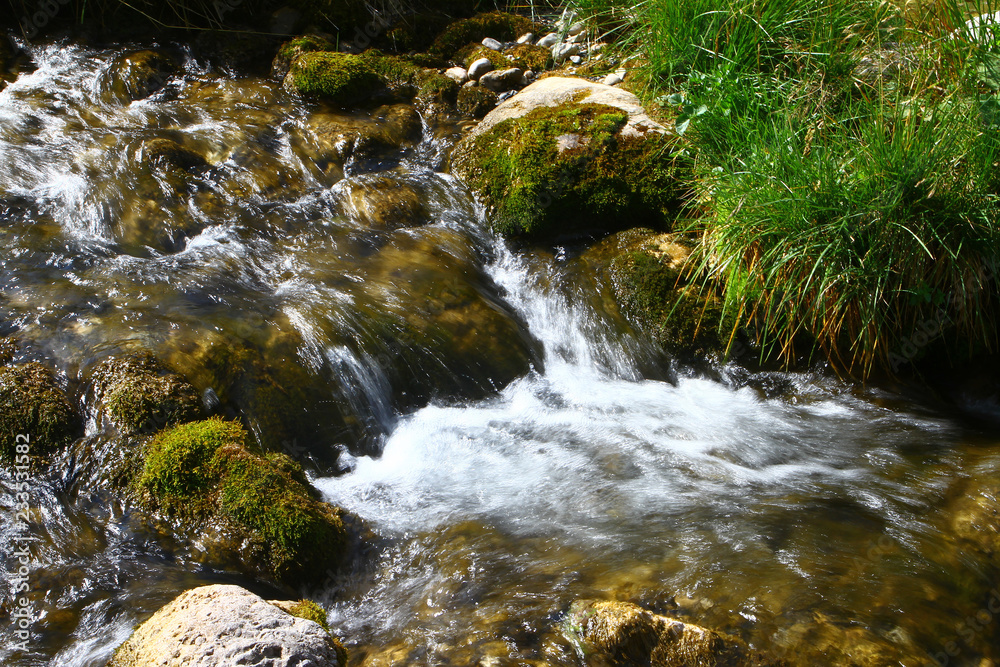 Fototapeta premium Spring water mountain river and the pretty petrous creek on North Caucasus. mountain natural landscape photo