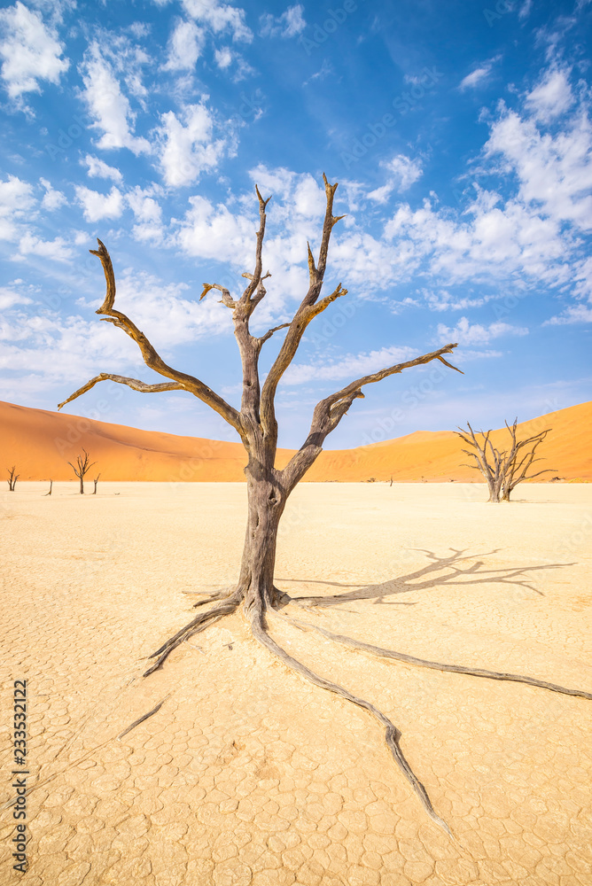 Deadvlei area in Namib desert Deadvlei area in Namib desert