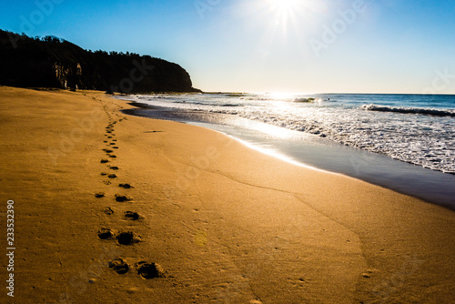 Fototapeta Naklejka Na Ścianę i Meble -  Footprints on beach at sunrise