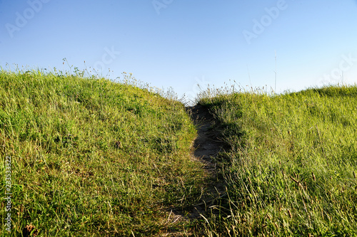 ausgetretener Weg auf einer Wiese, Horizont
