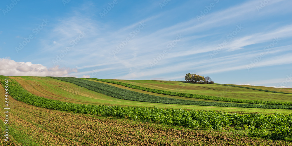 Herbstlandschaft mit Felder im Burgenland (A)