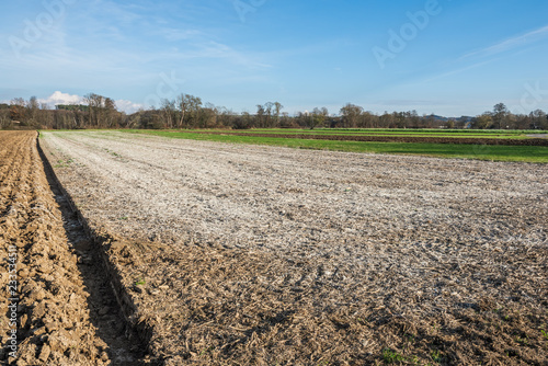 Acker mit Kalk gedüngt 