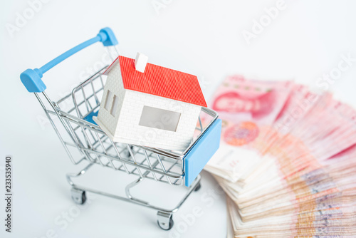 Buy a house / shopping cart, house, currency