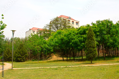 green space and architecture in a park #233537952