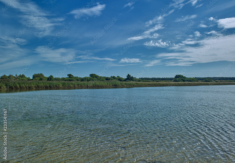 Laesoe / Denmark: Reed beds at the mouth of the stream at Holtemmen into the Baltic Sea Laesoe / Denmark: Reed beds at the mouth of the stream at Holtemmen into the Baltic Sea