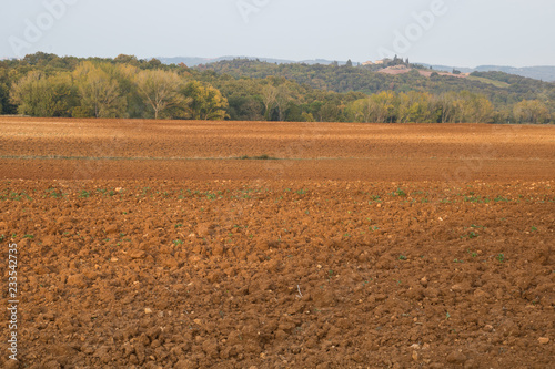 Countryside landscape. Countryside landscape with hills, and vineyard; typical landscape of central Italy