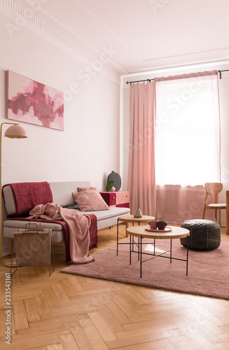 Coffee tables and old school pouf on pastel pink carpet in elegant living room with pillows and blankets on grey comfortable couch photo