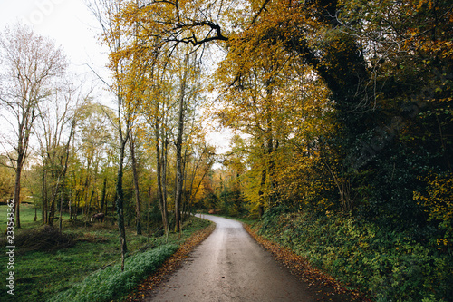 Autumn Road in Forest in Canada © lasfotosdexus