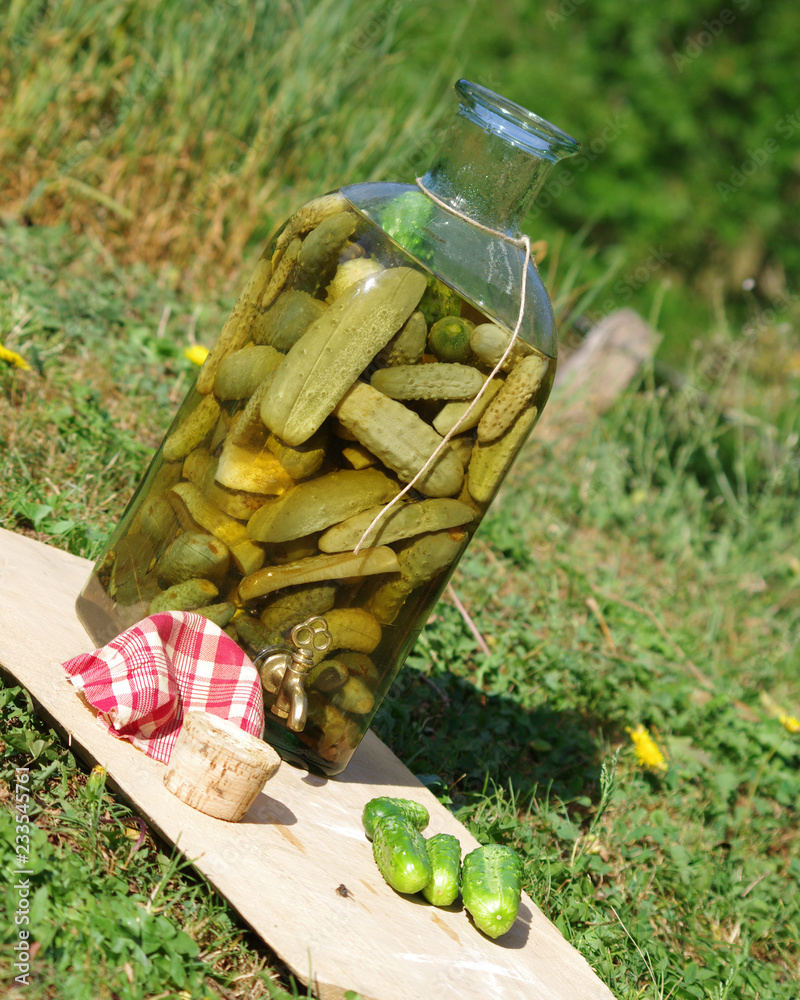 mise en bocal de cornichons Stock Photo Adobe Stock
