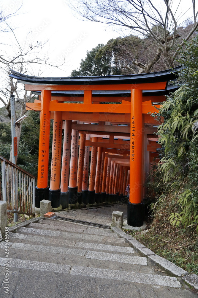 Famous torii gates on the path to Fushimi Inari Taisha shrine in Kyoto, Japan.