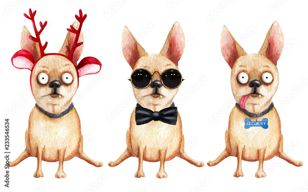 Fototapeta premium Set of three comical chihuahua. Hand drawn watercolor