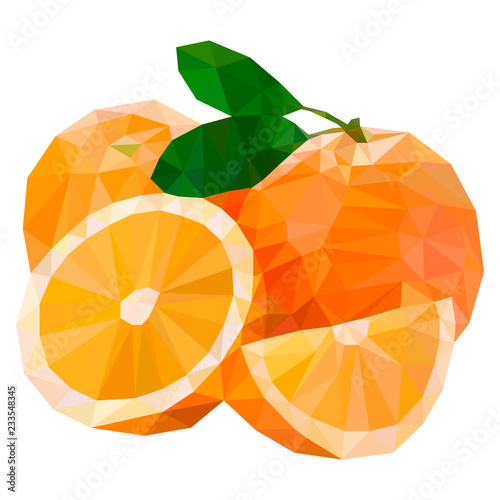 Polygon fruit. Abstract vector illustration of an oranges.