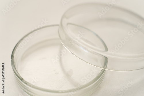 Petri dish