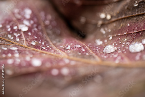 wasser