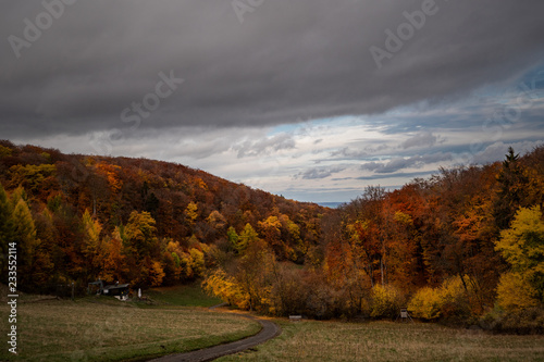 wald