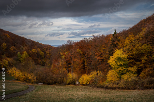 wald