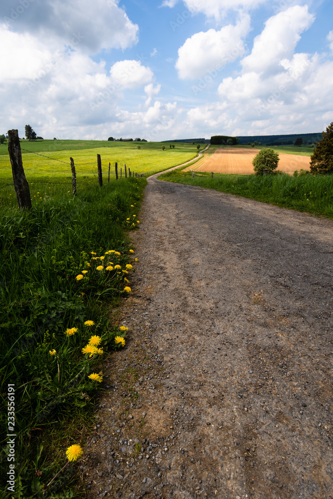 road in the countryside in Belgium