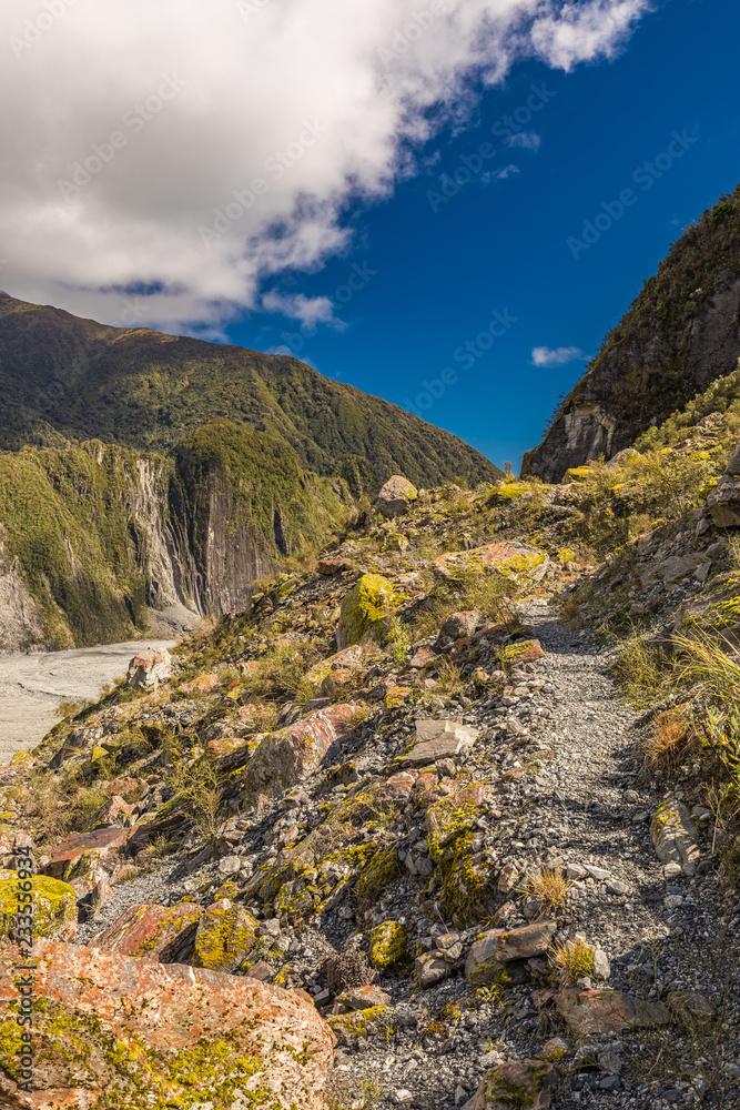 Fototapeta premium Mountain view of the glacier river and valley at Fox Glacier, West Coast, New Zealand