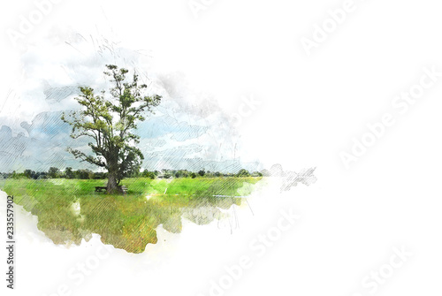 Abstract tree and field landscape on watercolor illustration painting background.