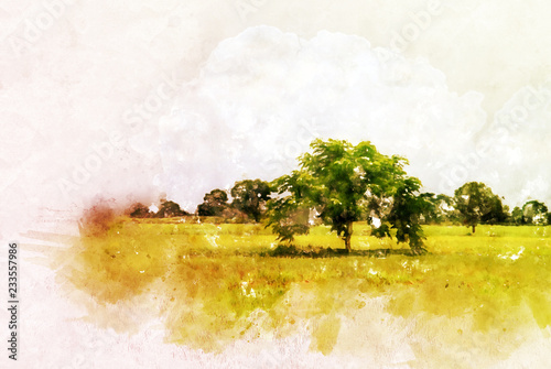 Abstract tree and field landscape in Thailand on watercolor illustration painting background. © Watercolor_Concept