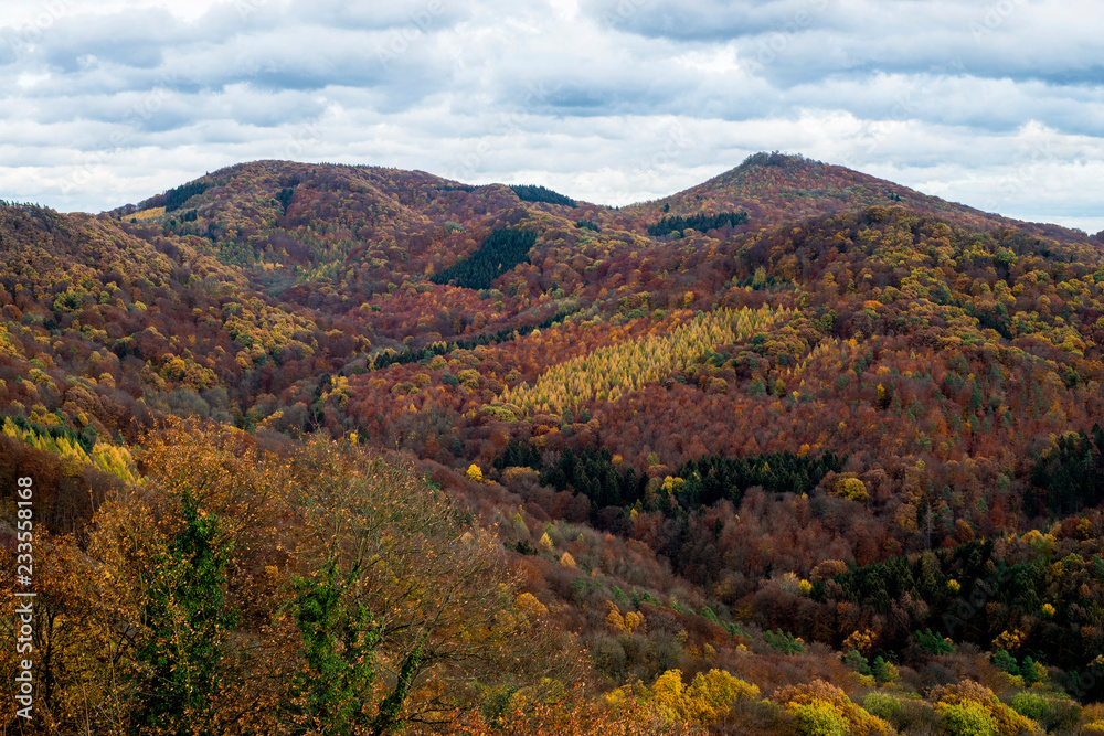 Forest mountains of Germany