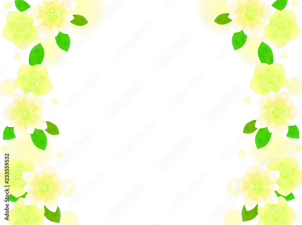 クリスマスローズのイラストの背景 クリスマスローズのイラストの背景