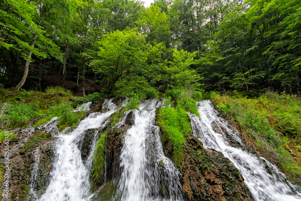 waterfall in forest waterfall in forest
