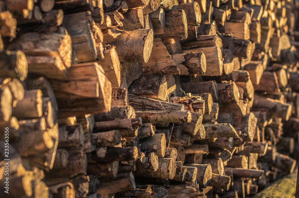 Stock of stacked old dry wooden logs