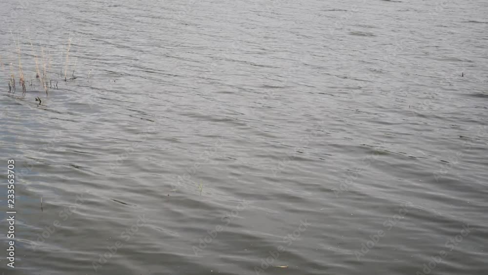 abstract water background abstract water background