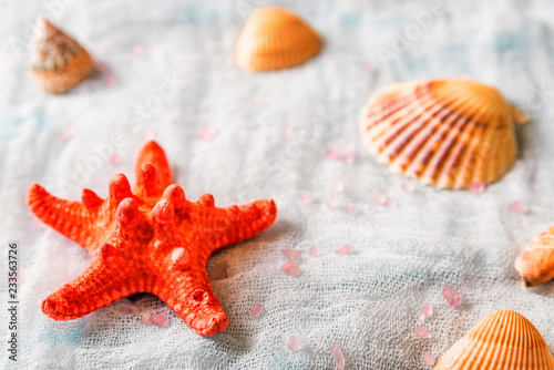 Seashells and starfish on white cloth background