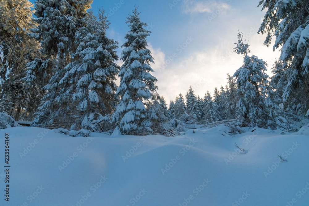 Fototapeta premium Sonnenuntergang im Winter Wald mit Schnee