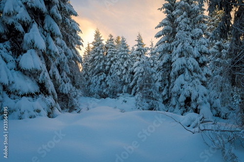 Sonnenuntergang im Winter Wald mit Schnee