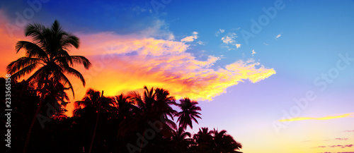 Tropical sunrise with coconut palm trees. Travel background.