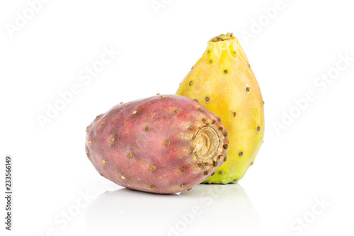 Group of two whole red yellow fresh bright prickly pear opuntia isolated on white background