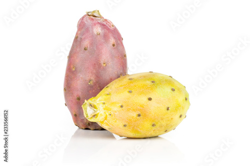 Group of two whole yellow red fresh bright prickly pear opuntia isolated on white background