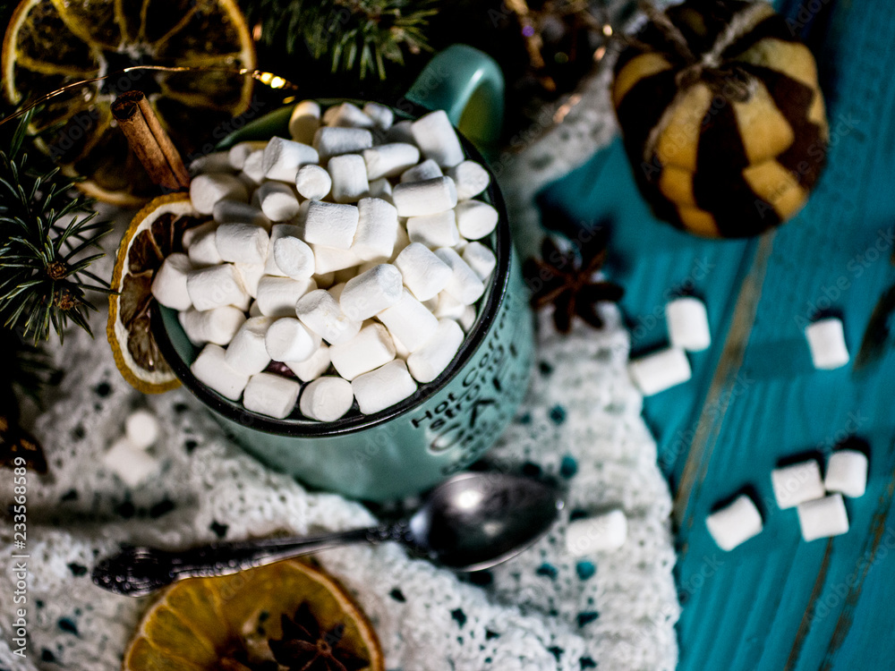 Spiced cocoa with marshmallows and Christmas cookies, mug with the words 