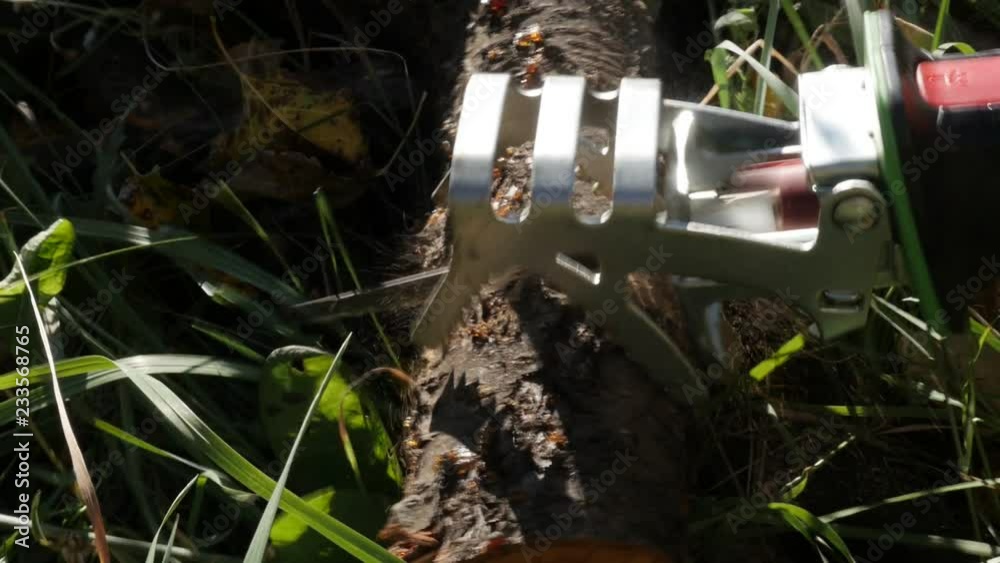 Modern reciprocating saw cuts branch slow-mo video