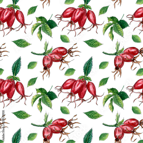 Watercolor seamless pattern with branch of Dog rose, hiprose, red berries and green leaves. photo