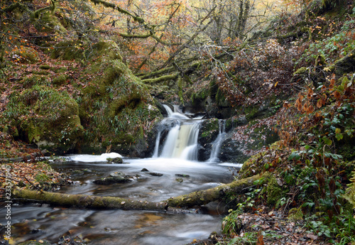 Small mountain river and waterfall in autumn forest