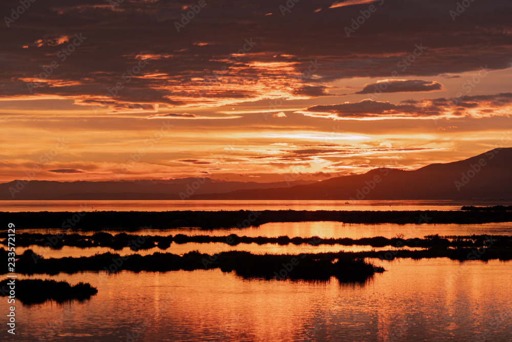 Obraz premium Sunset golden hour in in Delta del Ebro natural Park, Tarragona, Catalunya, Spain.