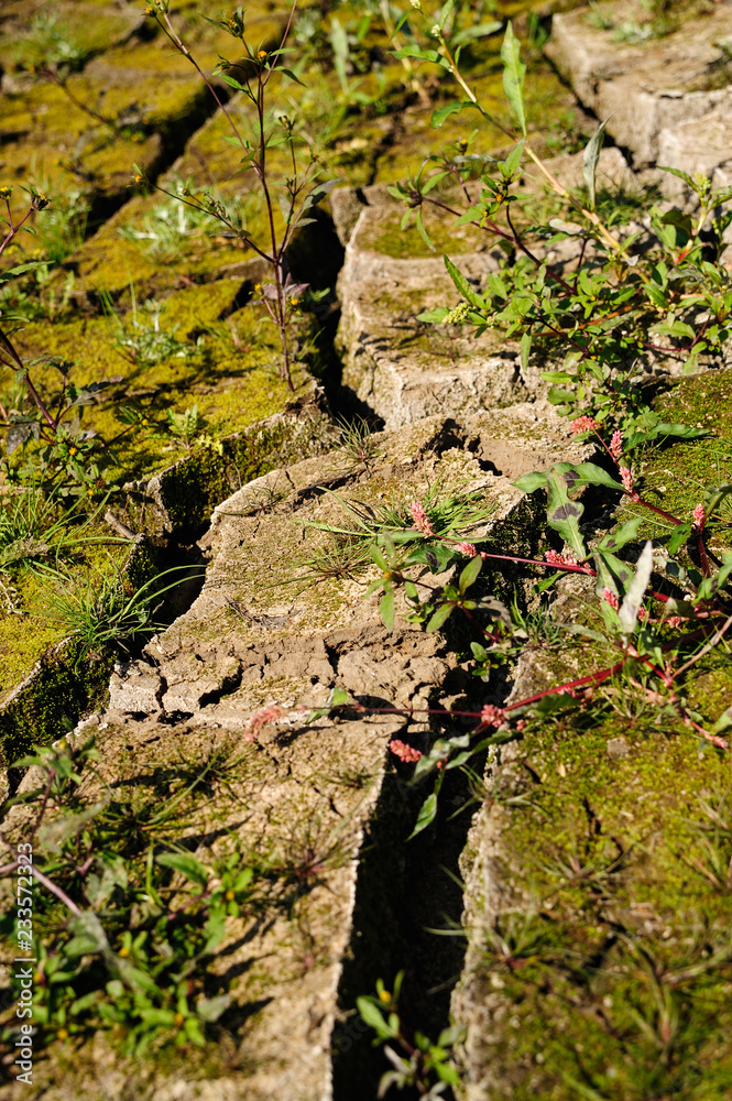 ausgetrocknetes Flussbett, Bodenstrukturen ausgetrocknetes Flussbett, Bodenstrukturen